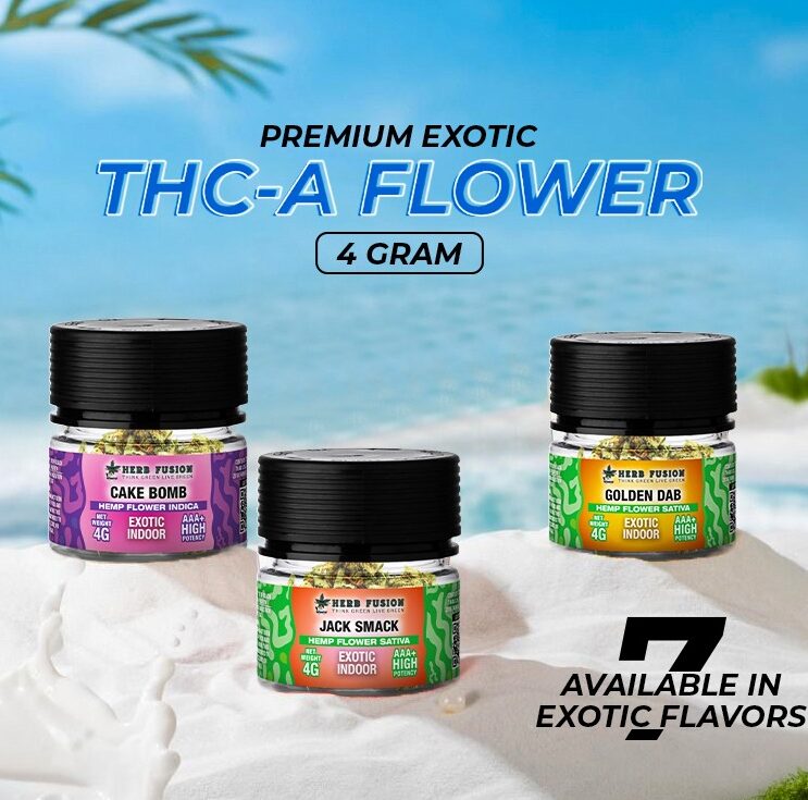 WhatsApp Image 2025-07-19 at 5.57.11 PM WhatsApp Image 2025-07-19 at 5.57.11 PM